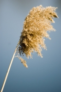 DSC_0013.jpg