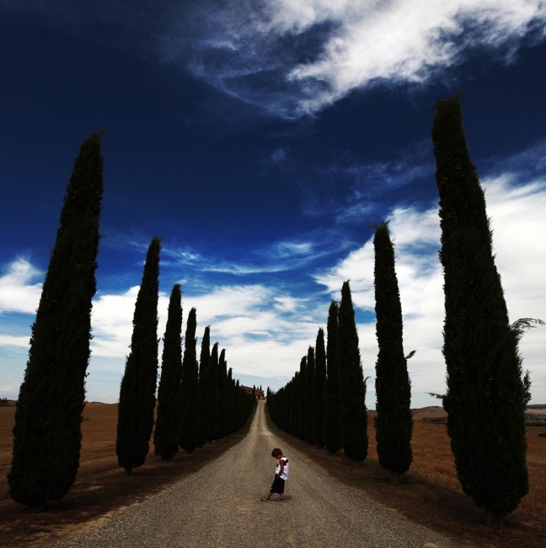 Clicca per l'immagine full size