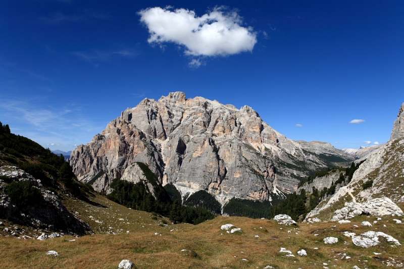 Clicca per l'immagine full size