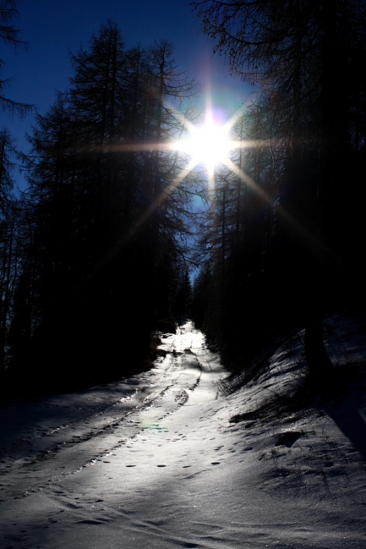 Clicca per l'immagine full size