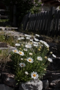 DPP_0030.JPG