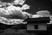 Nome File=cassia.jpg
Dimensione File=99KB
Dimensioni=800x532
Data aggiunta=Nov 17, 2007 cassia.jpg