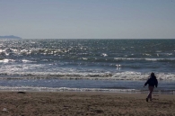 Nome File=mare_d_inverno_800.jpg
Dimensione File=85KB
Dimensioni=800x532
Data aggiunta=Mar 08, 2009 mare_d_inverno_800.jpg
