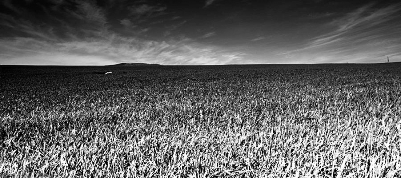 Clicca per l'immagine full size