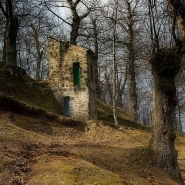 abbandonata_nell_bosco.jpg abbandonata_nell_bosco.jpg