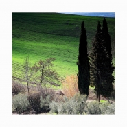 land_2.jpg land_2.jpg