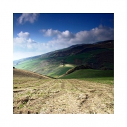 landscape.JPG landscape.JPG