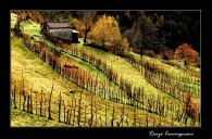 Autunno_in_Collina.jpg Autunno_in_Collina.jpg