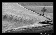 Nome File=Colline_Pisane.jpg
Dimensione File=191KB
Dimensioni=795x496
Data aggiunta=Mar 31, 2009 Colline_Pisane.jpg