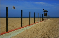 Nome File=Mare.jpg
Dimensione File=345KB
Dimensioni=800x515
Data aggiunta=Ott 23, 2009 Mare.jpg