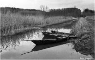 Nome File=PB.jpg
Dimensione File=183KB
Dimensioni=800x511
Data aggiunta=Nov 10, 2009 PB.jpg