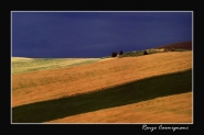Nome File=Paesaggio_Pisano.jpg
Dimensione File=92KB
Dimensioni=800x533
Data aggiunta=Nov 25, 2007 Paesaggio_Pisano.jpg