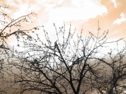cielo.jpg cielo.jpg