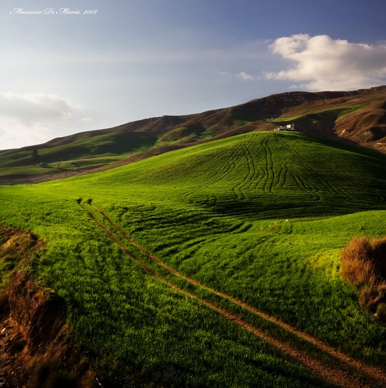 Clicca per l'immagine full size