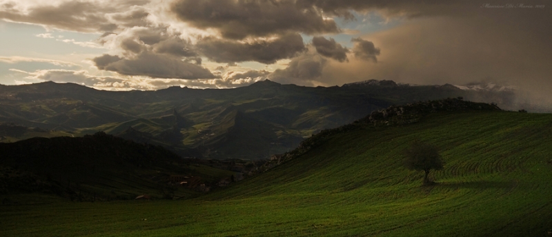 Clicca per l'immagine full size