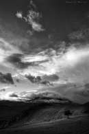 IMG_8343bw.jpg IMG_8343bw.jpg