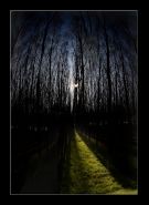 IL-MIGLIO--VERDE.jpg