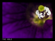Nome File=the_hole.jpg
Dimensione File=177KB
Dimensioni=700x520
Data aggiunta=Mag 14, 2008 the_hole.jpg