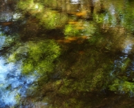 Nome File=omaggio_a_Claude_Monet.jpg
Dimensione File=204KB
Dimensioni=953x768
Data aggiunta=Lug 31, 2008 omaggio_a_Claude_Monet.jpg