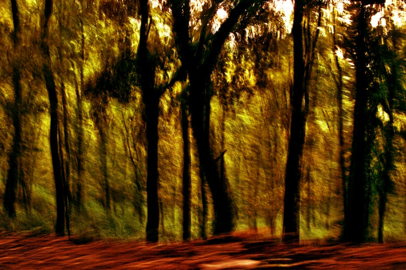 Clicca per l'immagine full size