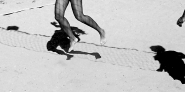 Nome File=BeachVolley_5883R.jpg
Dimensione File=300KB
Dimensioni=1024x512
Data aggiunta=Ott 06, 2011 BeachVolley_5883R.jpg
