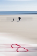 Filename=mmDSC0508a.jpg
Filesize=175KB
Dimensions=598x900
Date added=Feb 27, 2015 mmDSC0508a.jpg