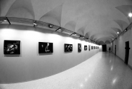 mmDSC_6094.jpg mmDSC_6094.jpg