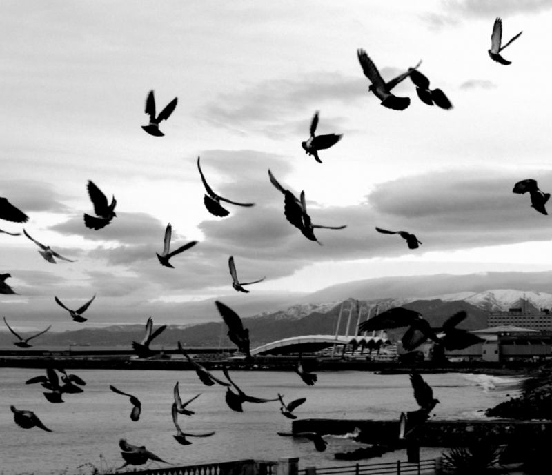 Clicca per l'immagine full size