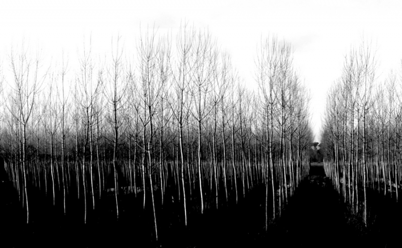 Clicca per l'immagine full size