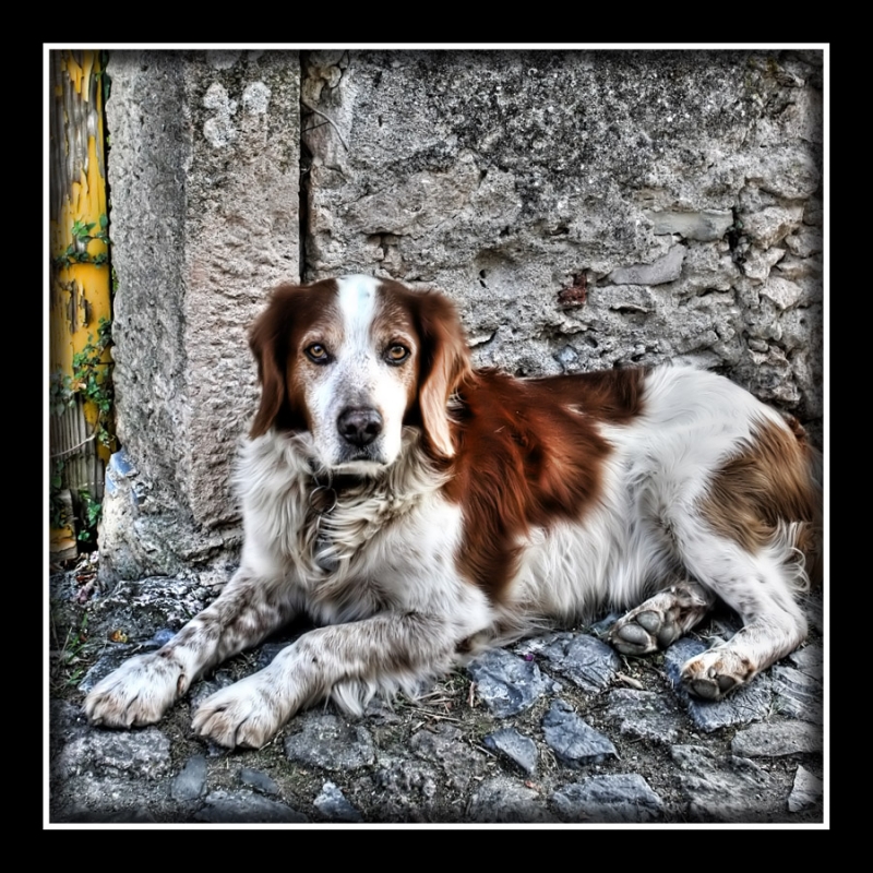 Clicca per l'immagine full size
