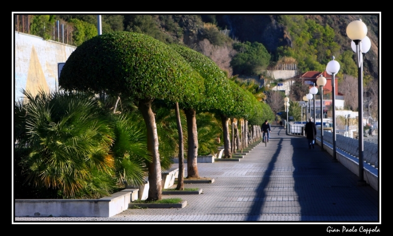 Clicca per l'immagine full size
