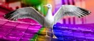 Filename=ali.jpg
Filesize=241KB
Dimensions=1200x537
Date added=Jul 23, 2012 ali.jpg