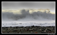 Nome File=onde.jpg
Dimensione File=239KB
Dimensioni=800x499
Data aggiunta=Gen 30, 2008 onde.jpg
