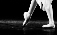 AF9_8264_2.jpg AF9_8264_2.jpg