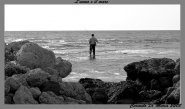 Nome File=l_uomo_e_il_mare.jpg
Dimensione File=167KB
Dimensioni=900x533
Data aggiunta=Feb 05, 2008 l_uomo_e_il_mare.jpg