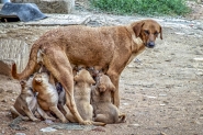 Filename=1-10~6.jpg
Filesize=461KB
Dimensions=1200x800
Date added=Dec 04, 2020 1-10~6.jpg
