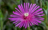 Nome File=20180614-.jpg
Dimensione File=336KB
Dimensioni=1200x766
Data aggiunta=Giu 14, 2019 20180614-.jpg
