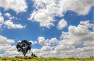 Nome File=Tree.jpg
Dimensione File=322KB
Dimensioni=1200x788
Data aggiunta=Feb 28, 2019 Tree.jpg