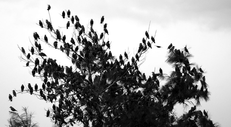 Clicca per l'immagine full size