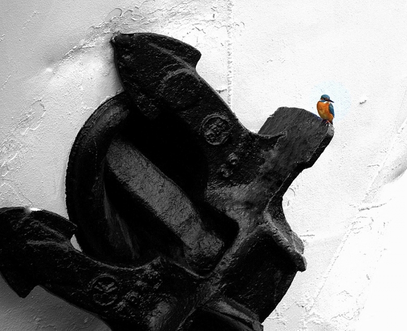 Clicca per l'immagine full size
