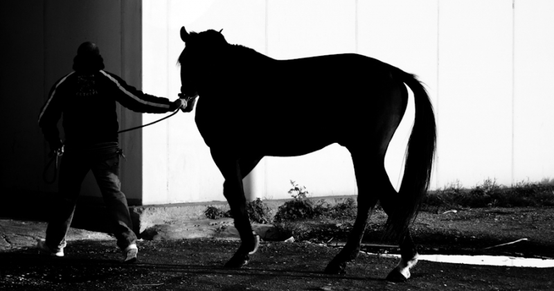 Clicca per l'immagine full size