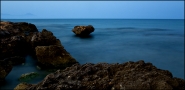 DSC_0972_01.jpg