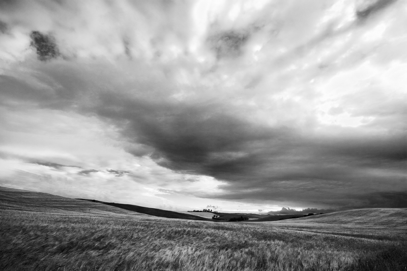 Clicca per l'immagine full size