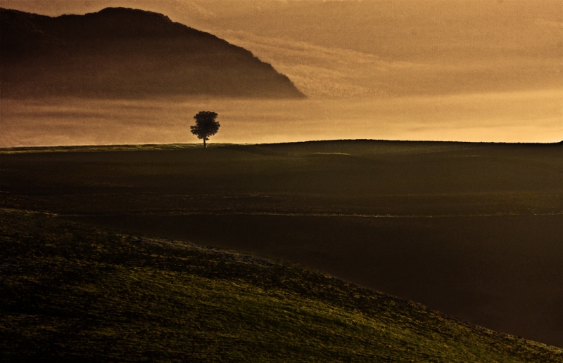 Clicca per l'immagine full size
