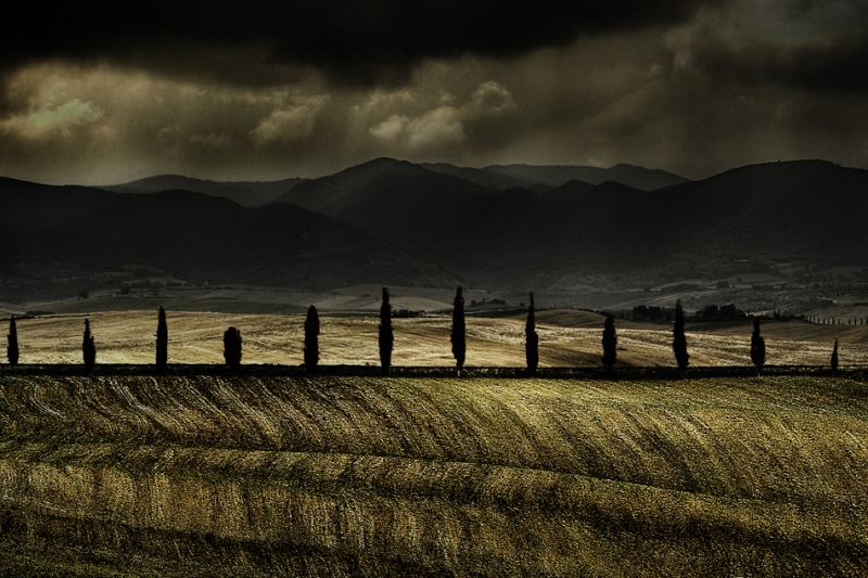 Clicca per l'immagine full size