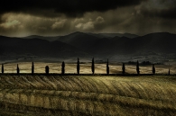 cipressi~0.jpg cipressi~0.jpg