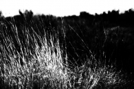 DSC_0870.jpg DSC_0870.jpg
