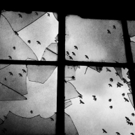 memoria~0.jpg memoria~0.jpg
