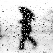 normal_piove_5755.jpg normal_piove_5755.jpg