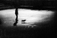 qualunque_5996.jpg qualunque_5996.jpg